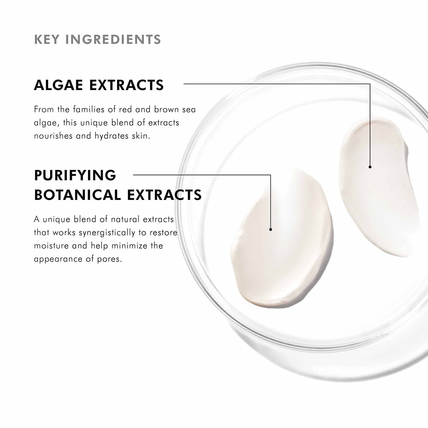 SkinCeuticals Daily Moisture Lightweight Pore-Refining Hydrating Cream 60ml - Moisturizer for hydration - view 4