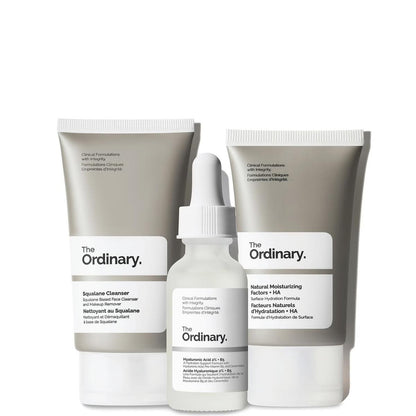 The Ordinary The Daily Set